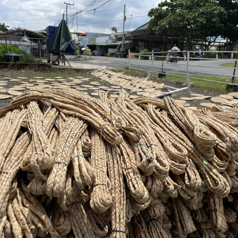 Hyacinth Draw Material