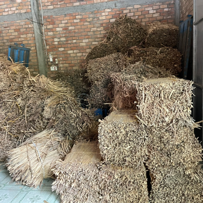 Hyacinth Draw Material