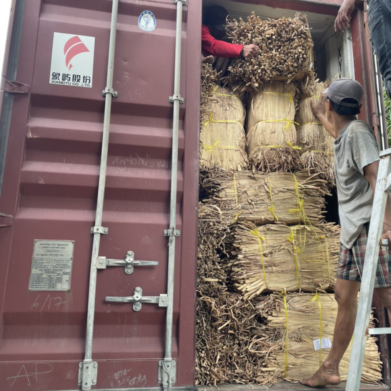 Hyacinth Draw Material