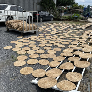 Hyacinth Draw Material