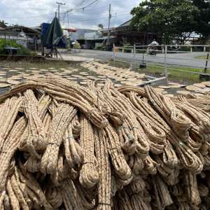 Hyacinth Draw Material