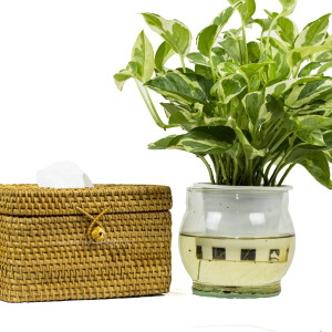 Rattan storage box
