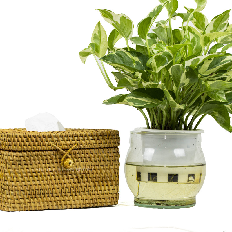 Rattan storage box